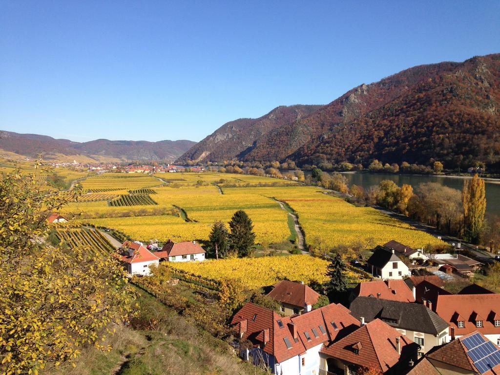 Apartement Schlaf Gut - Mitten In Der Wachau Вайсенкирхен ин дер Вахау Стая снимка