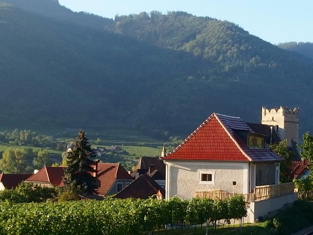 Apartement Schlaf Gut - Mitten In Der Wachau Вайсенкирхен ин дер Вахау Екстериор снимка